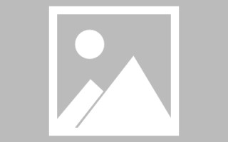 乐山信息系统网页设计（信息系统网页设计主要包括）